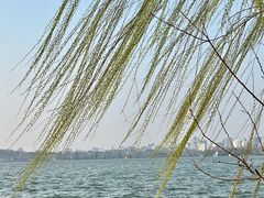 -柳浪闻莺公园
