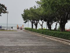 -深圳湾公园-停车场