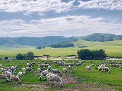 -塞罕坝国家级自然保护区