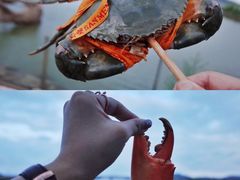 -蛇蟠岛