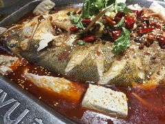 -马有鱼·馕坑烤全鱼(美美2店)