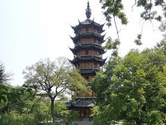 -红梅公园