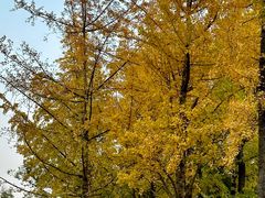 -筋骨堂热敷推拿按摩(九方购物广场店)