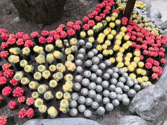-南山植物园