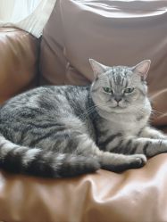 -优刻西服西装定制(金轮国际广场店)