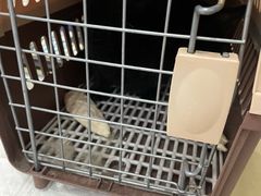 -爱侣宠医·鹦鹉专科·小型哺乳类·异宠专科(灵石路店)