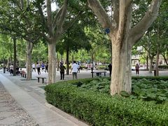 -团结湖公园