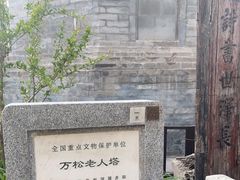 -万松老人塔