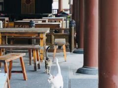 -海合安苏州阳澄半岛乐园