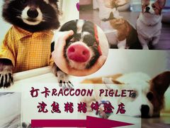 -浣熊柯尔鸭土拨鼠·电玩咖