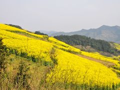-石潭村