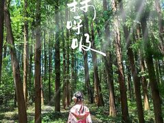 -同里国家湿地公园