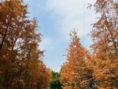 -梅峰山地公园