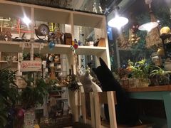 -Kitchen·Y洋厨房西餐厅(王府壹号店)