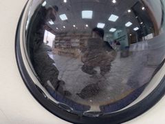 -中农大我爱我爱动物医院·核磁CT·猫病·24小时夜诊中心(石佛营店)