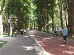 -南宁南湖公园