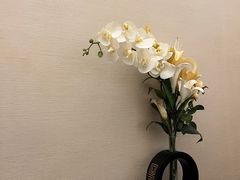 -OMSPA(盛景尚峰店)