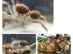 -阳澄湖大闸蟹·琼灵阁牌品牌连锁(吴中总店)