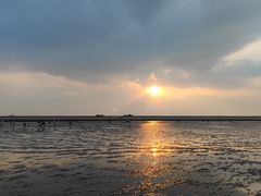 -南汇嘴观海公园