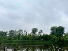 -溱湖国家湿地公园