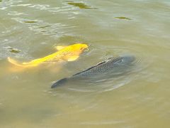 -森林公园(尖草坪区)