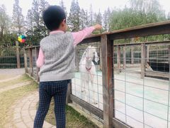 -前小桔亲子创意农场·草莓采摘·露营烧烤