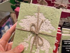 -大象粑粑造纸公园