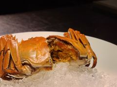 枸杞菊花醉六月黄-蟹榭·本帮江浙菜·蟹宴(五角场合生汇商场店)