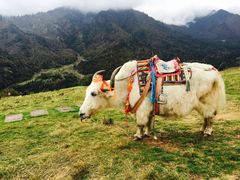 -硗碛藏寨·神木垒景区