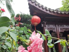 -檀园