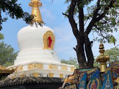 -护国法轮寺