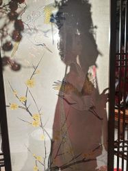 -金夫人婚纱摄影(总店)