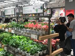 -鹿岛生活(熙地港店)