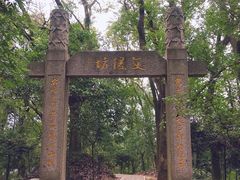 -上海佘山国家森林公园天马山园