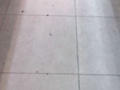 -新记美食(关闸店)