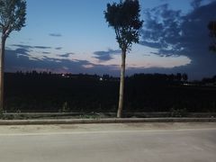 -大吉利·潮汕牛肉火锅(万峰路店)