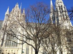 -斯蒂芬主教座堂(Stephansdom)