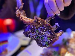-MOSSO德国餐厅·音乐酒吧(环宇荟店)
