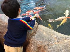 -鸿通城购物中心