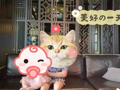 -杭州临平万丽酒店·万丽轩中餐厅
