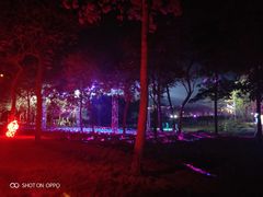 -天适樱花悠乐园