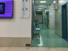 -北京观赏动物医院·24小时大型综合·猫专科·异宠专科