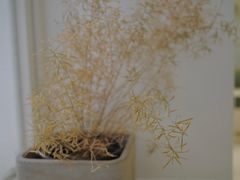 -花沐 FLOWER BATH(凤凰城店)