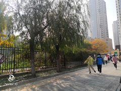 -秦皇岛市西港路小学