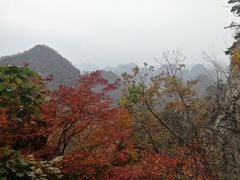 -大连天门山国家森林公园