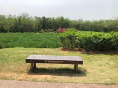 -盘龙城国家考古遗址公园