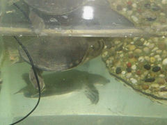 android_upload_pic-上海大自然野生昆虫馆