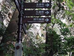 -铁山坪森林公园