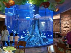 -长隆海洋王国自助餐厅(横琴湾店)