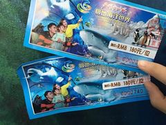 -多彩贵州城极地海洋世界